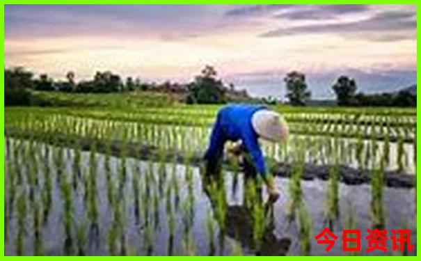 7月3天旅游去哪里比较好