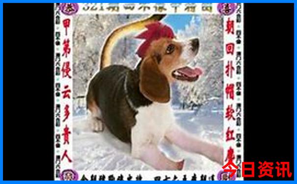 夏天适合穷游的地方